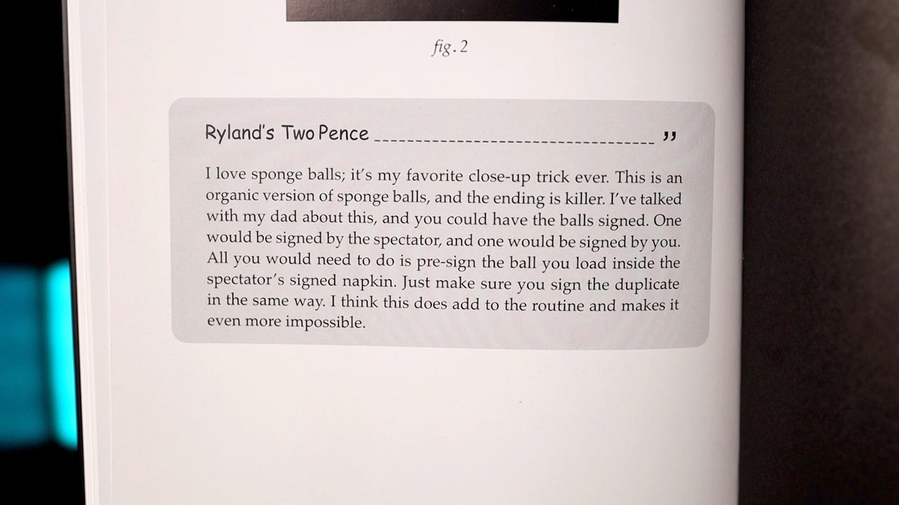 Absolute Madness by Craig Petty (Hardback)