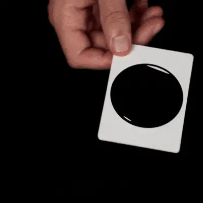 Magic 8 Ball by Roddy McGhie