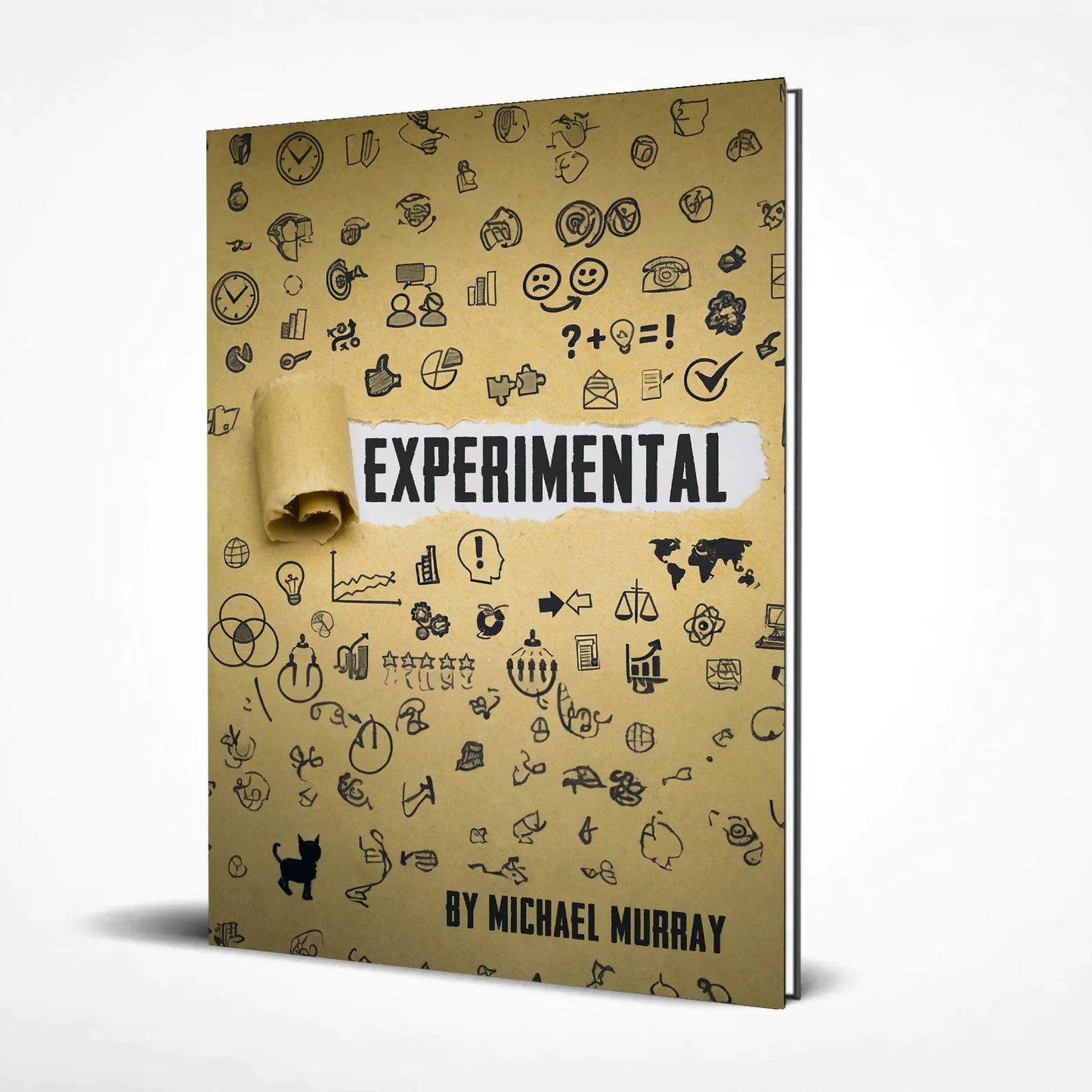 Experimental by Michael Murray (Lecture Notes)