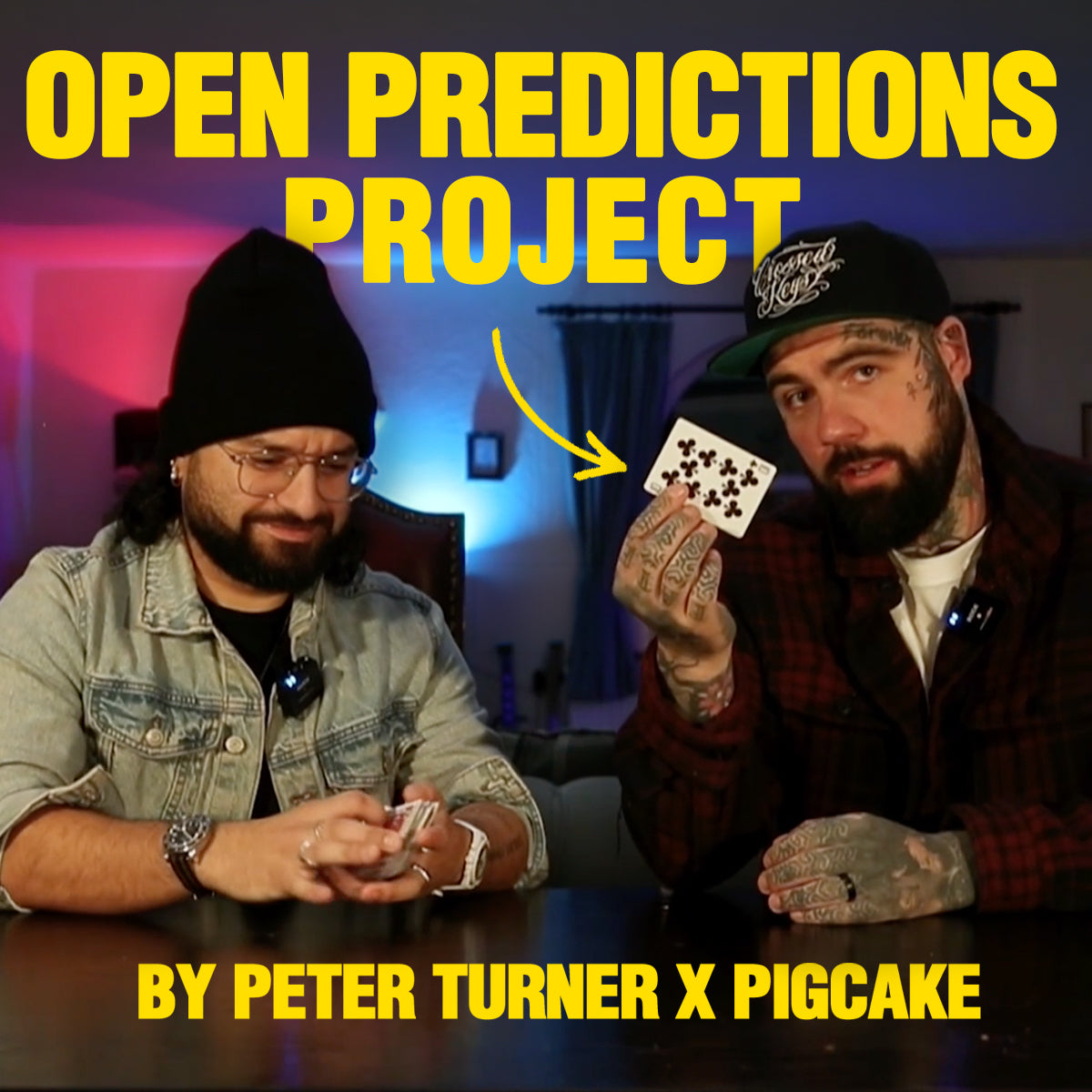 Open Predictions Project By Peter Turner x PigCake