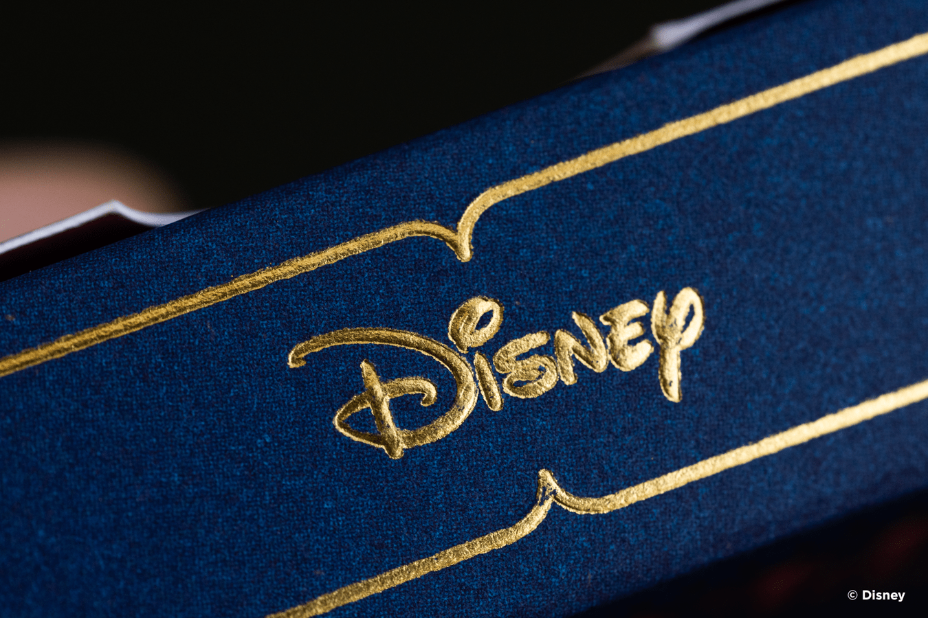 Bicycle® Disney Princess (Navy) Inspired Playing Cards