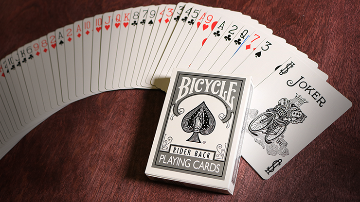Bicycle® (Silver) Playing Cards