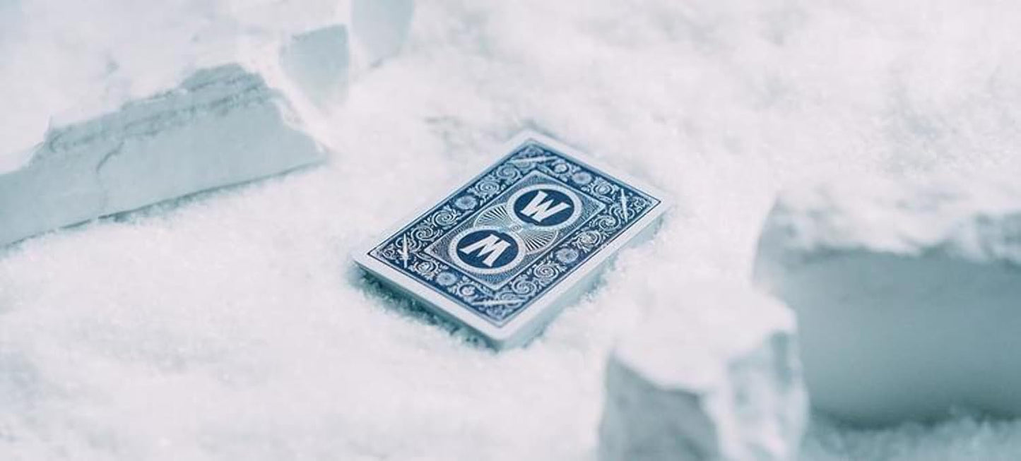 Bicycle World of Warcraft (Wrath of the Lich King) Playing Cards by US Playing Card