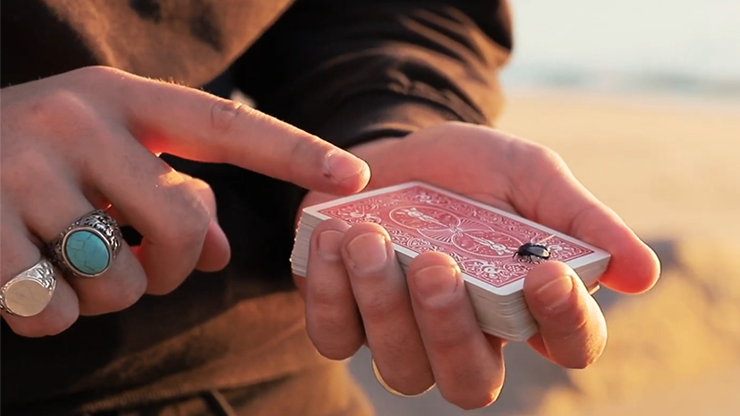 The Fly Lite by Marcos Waldemar & Invisible Compass