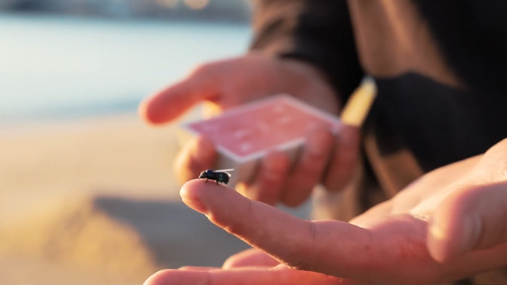 The Fly Lite by Marcos Waldemar & Invisible Compass