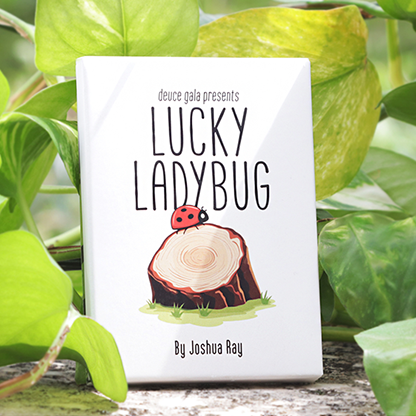 Lucky Ladybug (Leaf) by Joshua Ray & Deuce Gala Magic