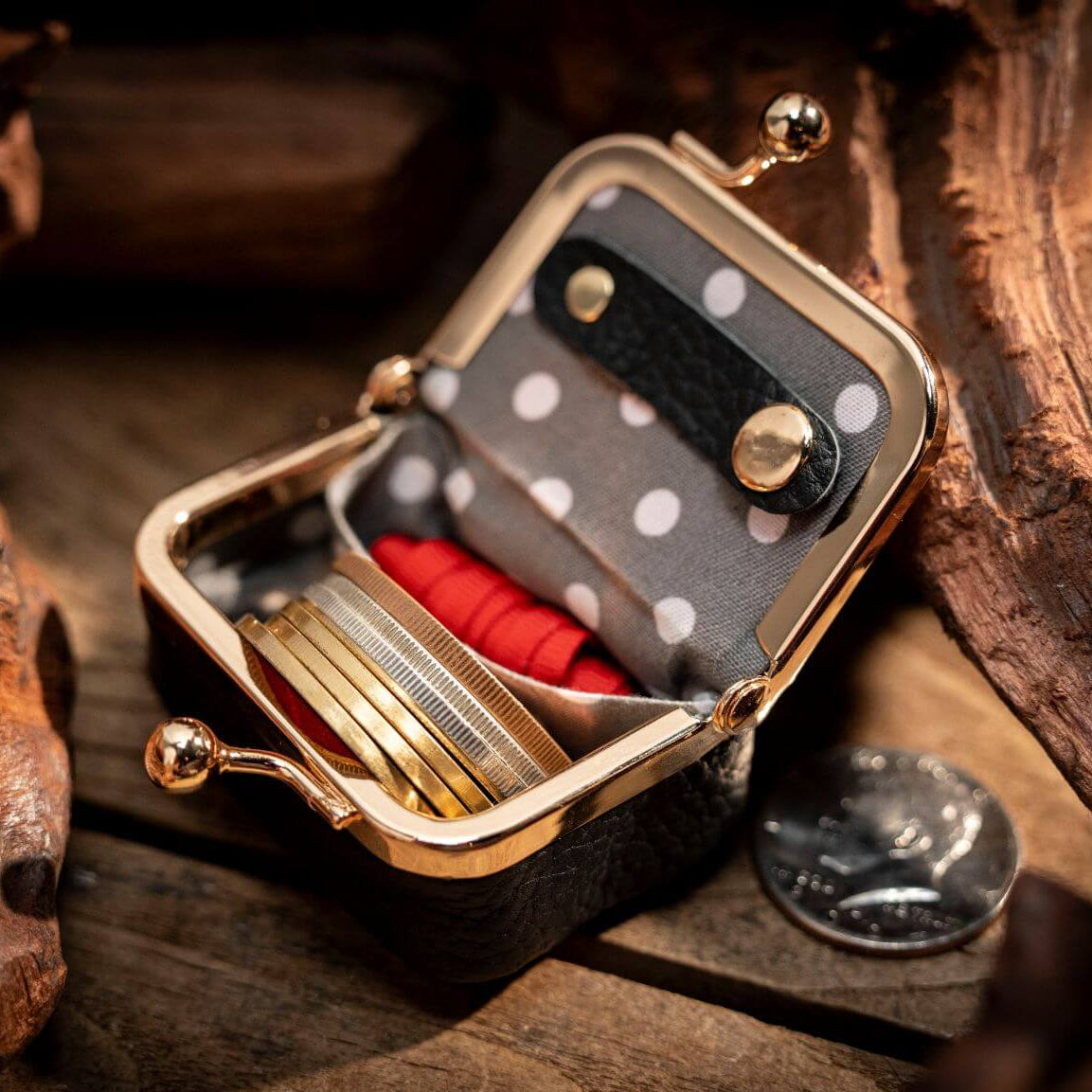 Coin Bag by TCC Magic