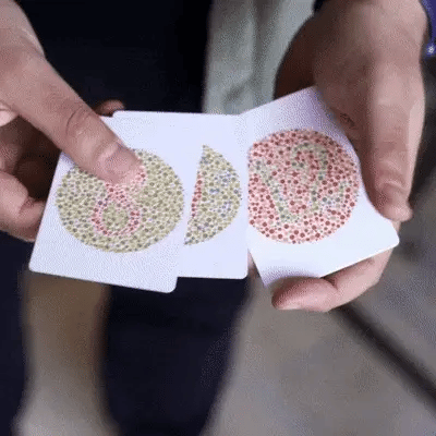 Ishihara Test by Liam Levanon