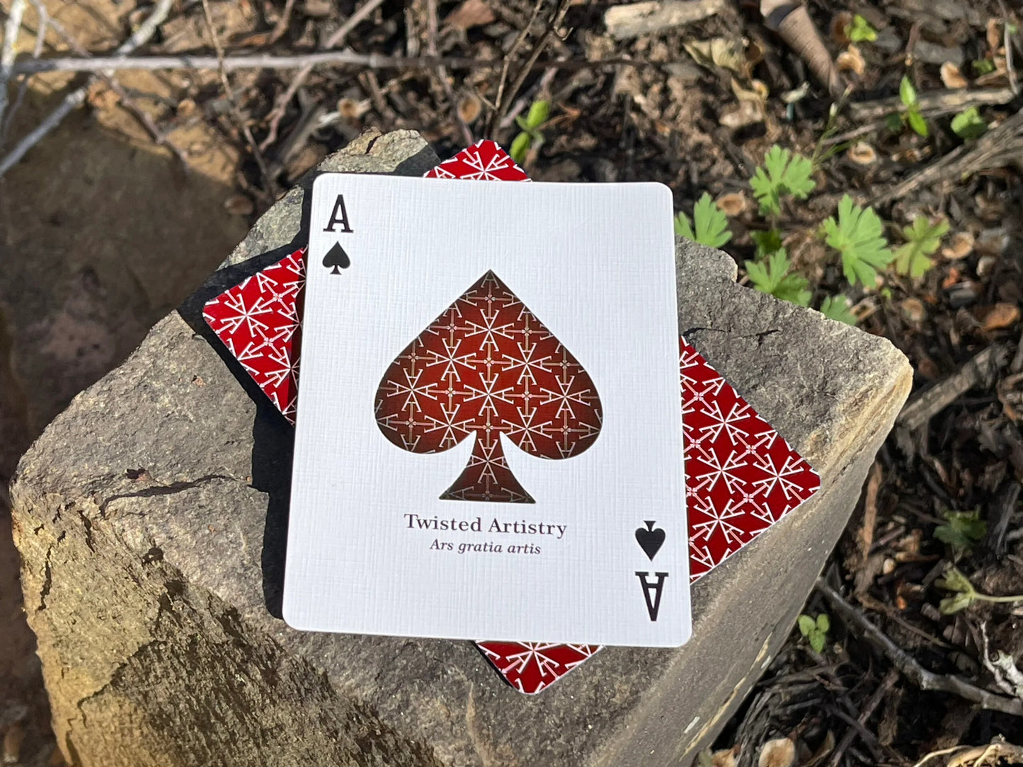 Twisted Artistry 2nd Edition Playing Cards By Terry Ady