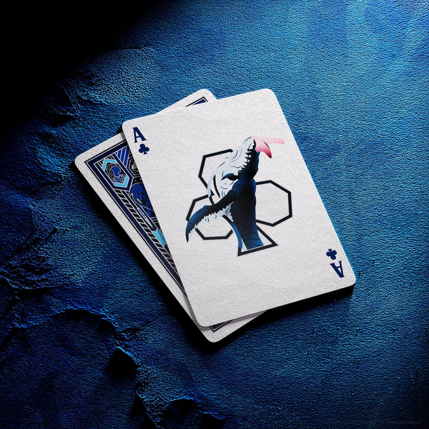 Cartes à jouer Avatar par Theory 11