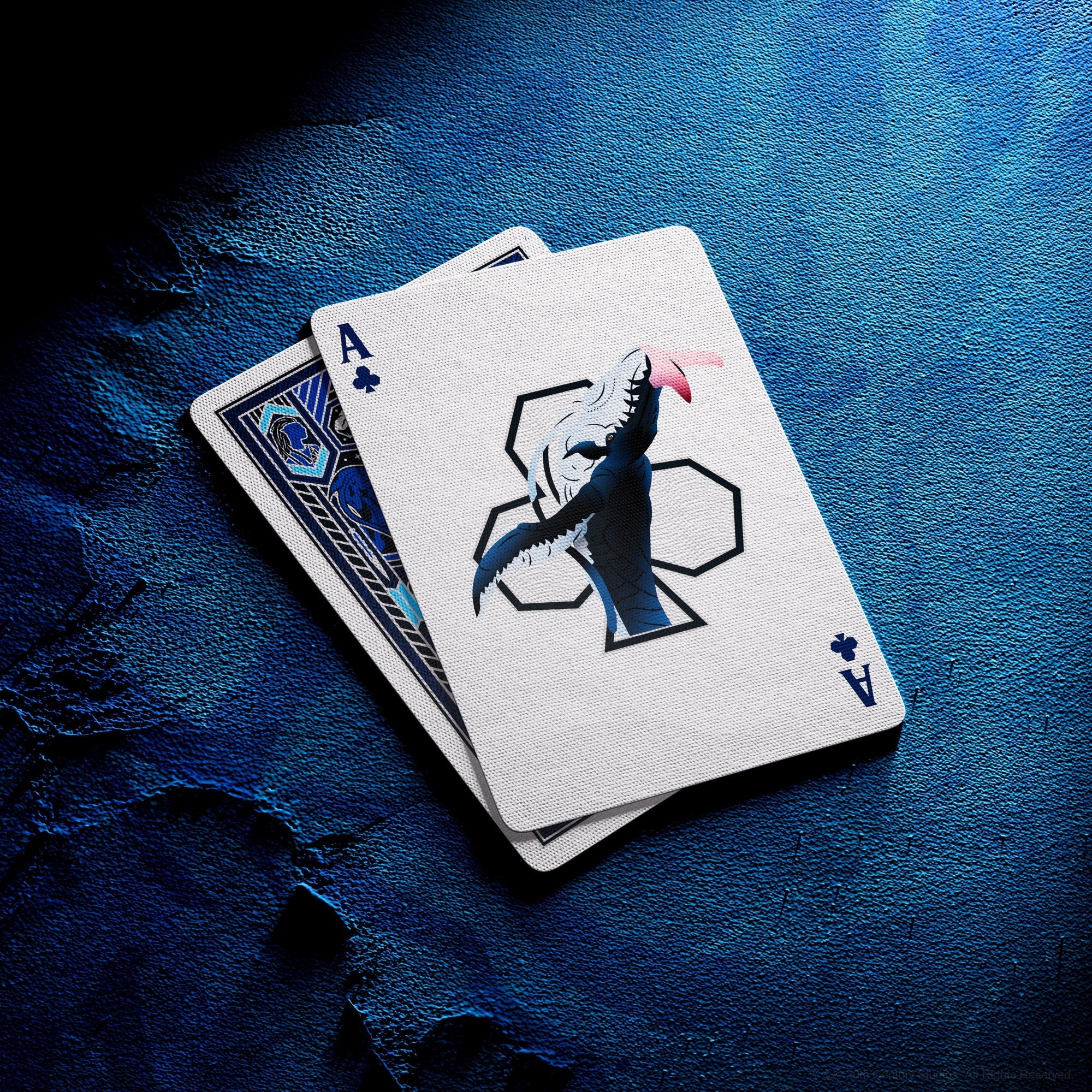 Avatar Playing Cards By Theory 11