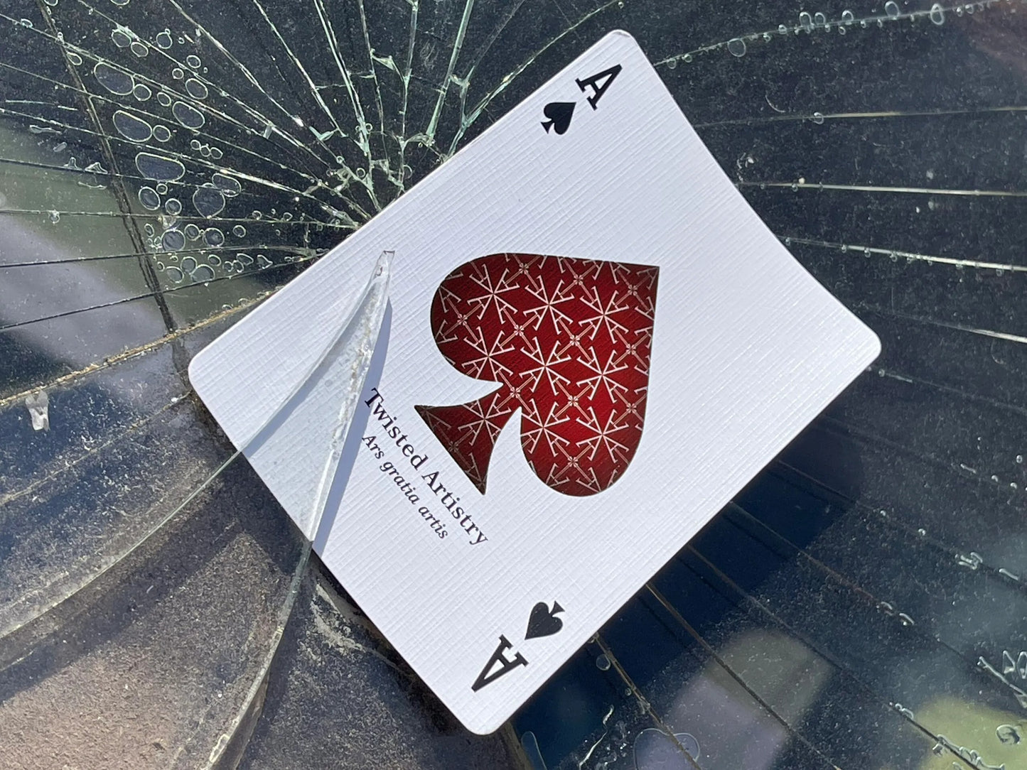 Twisted Artistry 2nd Edition Playing Cards By Terry Ady