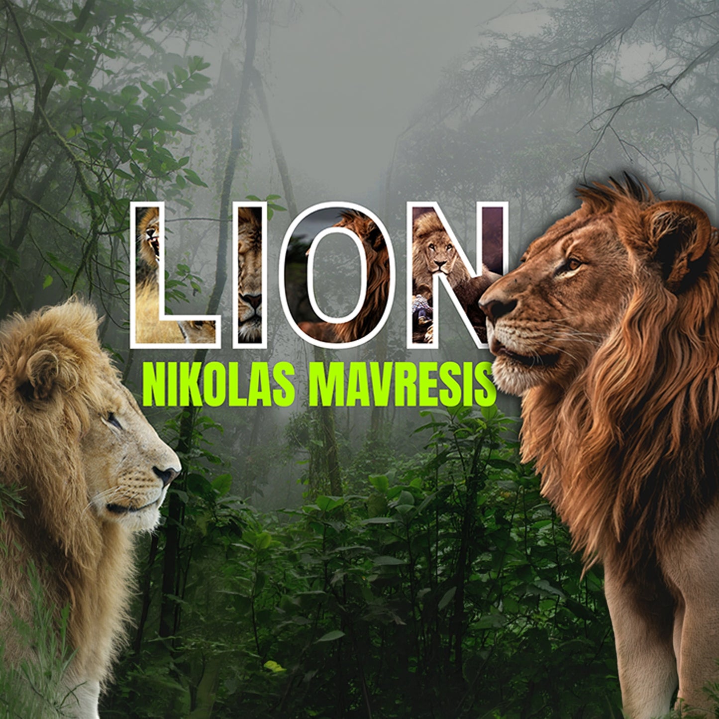 Lion by Nikolas Mavresis