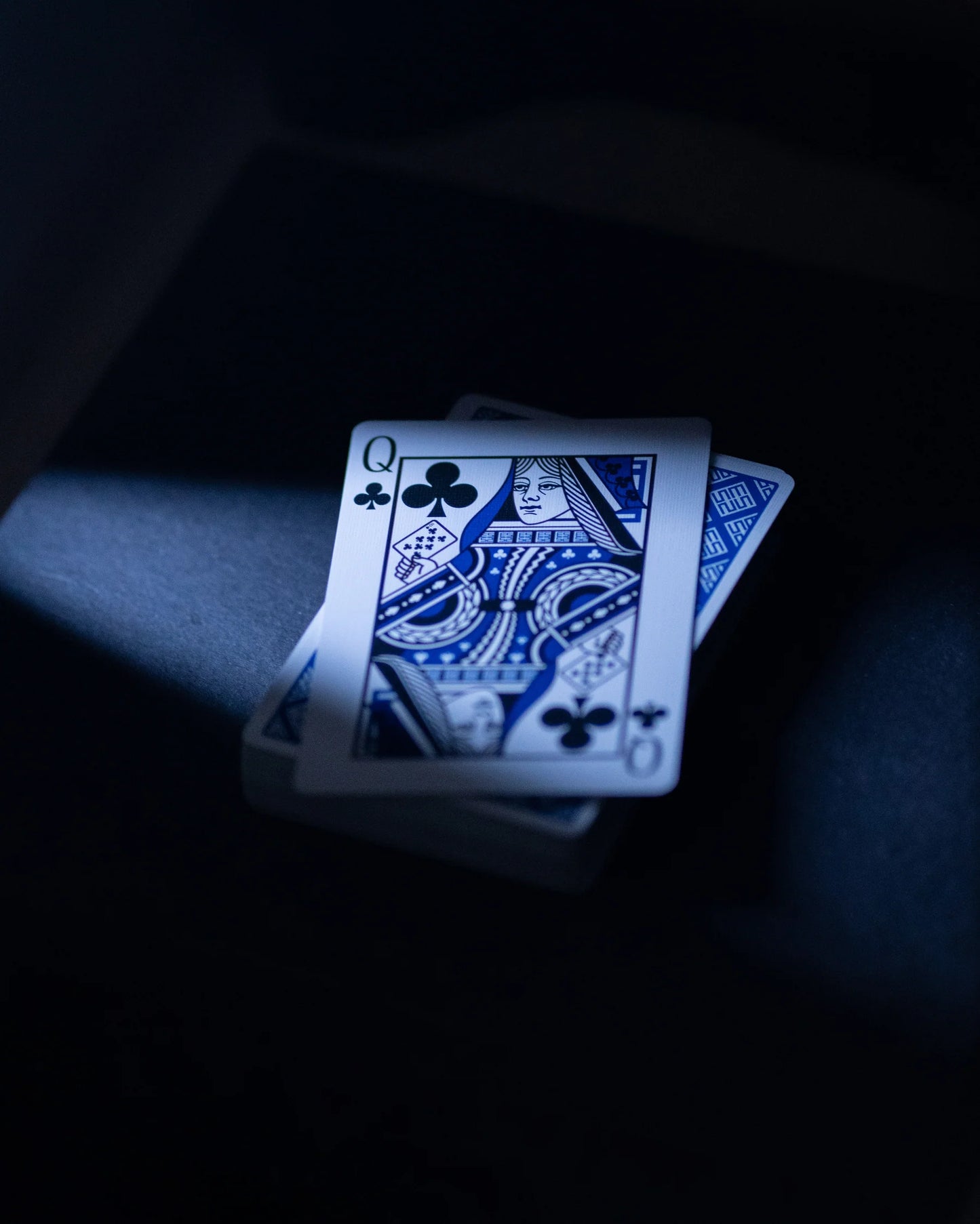 Sleights Playing Cards by EmilySleights52